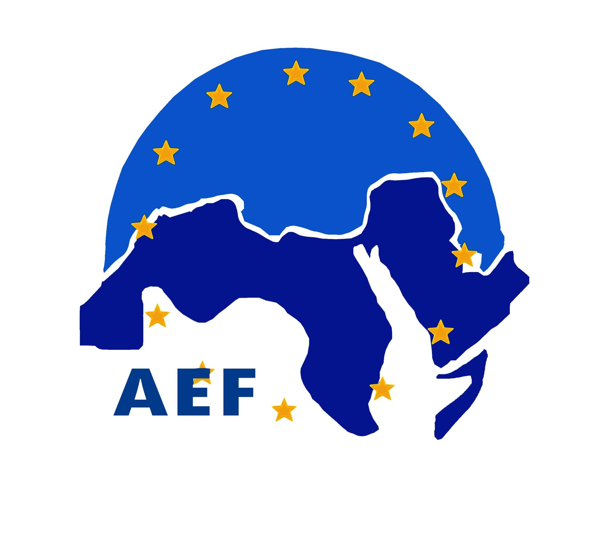 منسقة تدريب